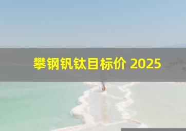 攀钢钒钛目标价 2025